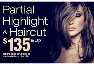 Partial Highlight and Haircut $135 and up first time clients only