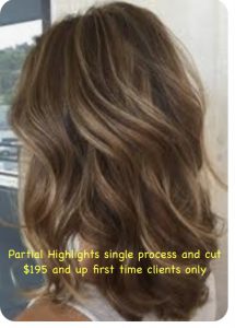 Partial Highlights single process and cut $195 and up first time clients only
